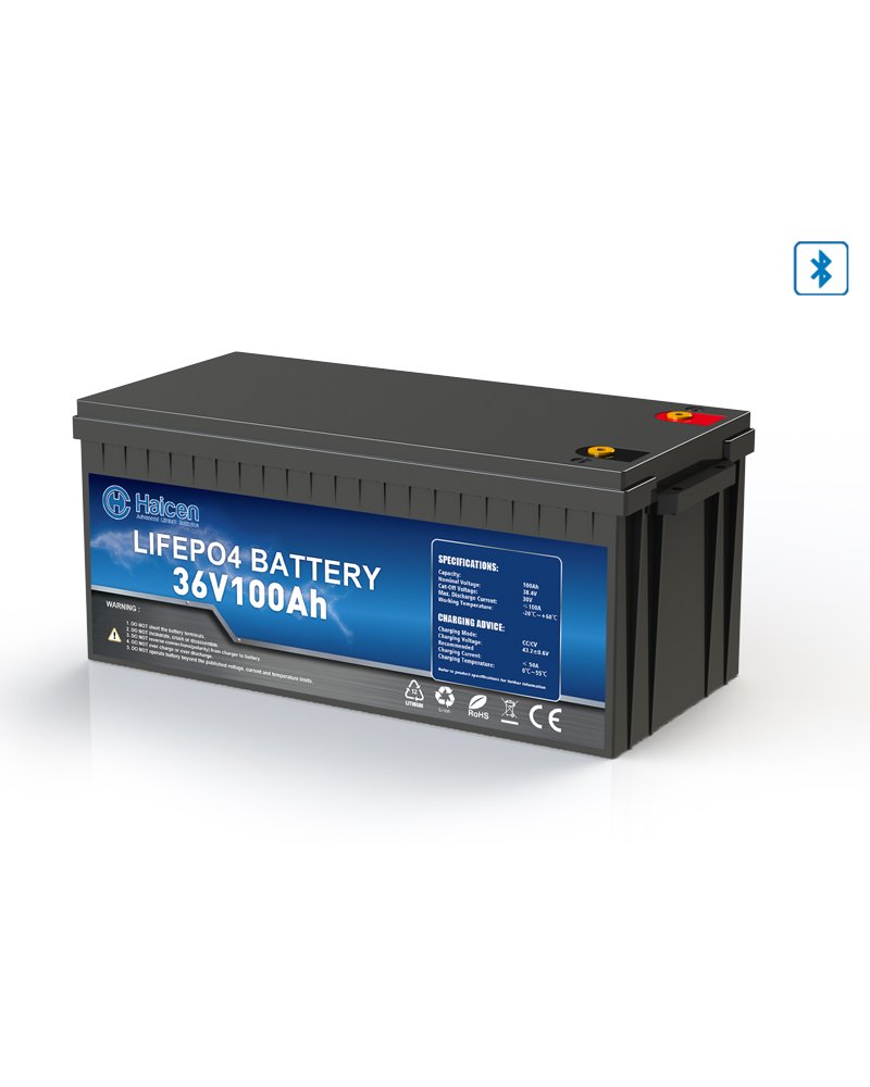 HCG4DS Series-36V100Ah Smart LFP batteries